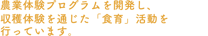 農業体験プログラムを開発し、収穫体験を通じた「食育」活動を行っています。