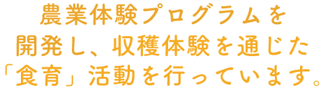 農業体験プログラムを開発し、収穫体験を通じた「食育」活動を行っています。